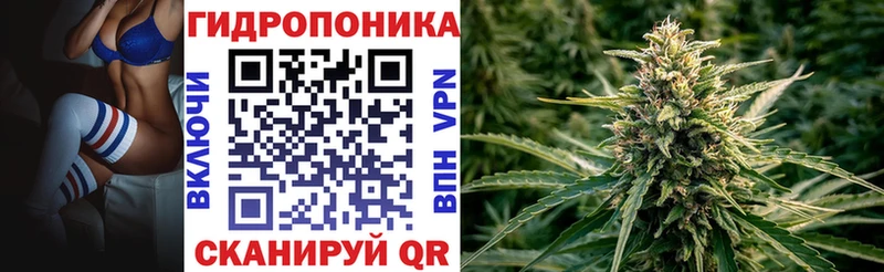 Что такое Новая Усмань COCAIN  Бошки Шишки  АМФ  Гашиш  Мефедрон  A PVP 