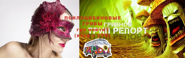 мдпв Волоколамск