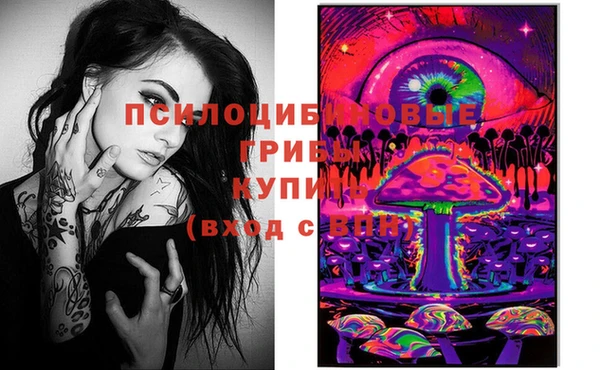 гашик Лихославль